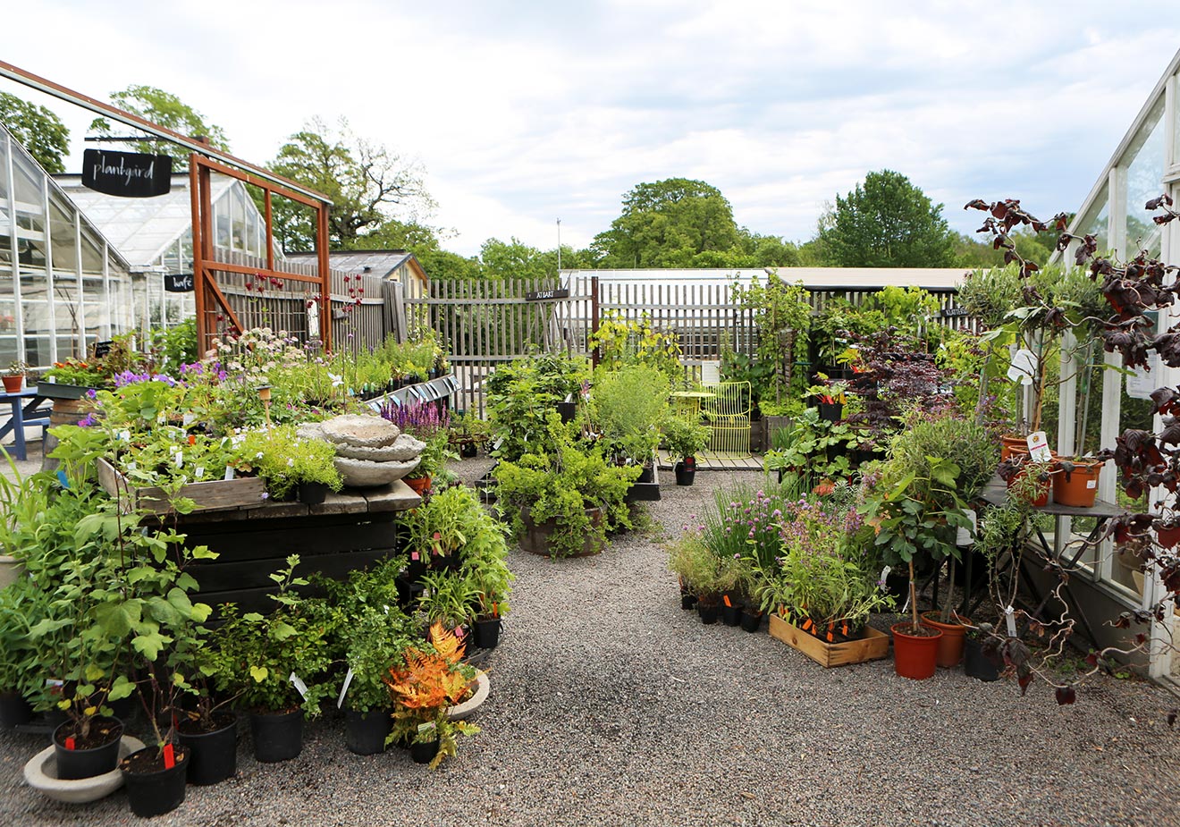 Plantfest på Rosendals Trädgård