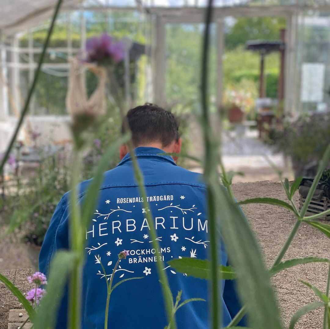 Herbarium  |  Utekök på Rosendals Trädgård