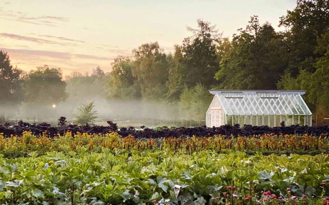 JUBILEUMSVISNING  |  28 MAJ