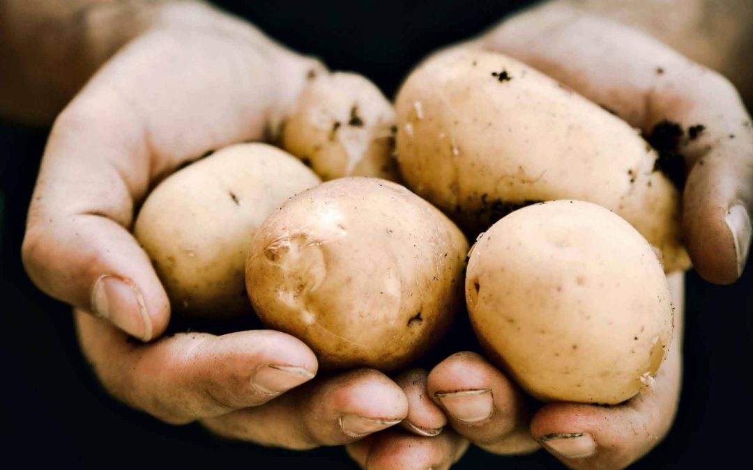 Potatishelg | 14-16 april