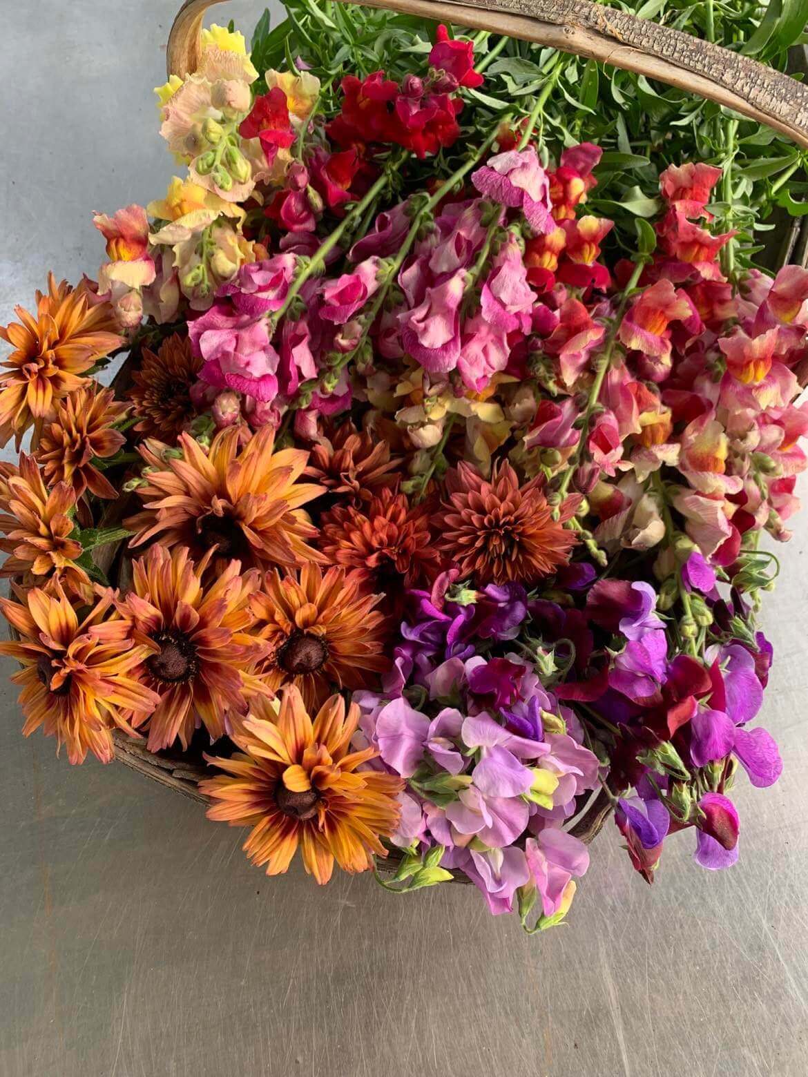 Buketter och blomster i Plantboden | Rosendals Trädgård