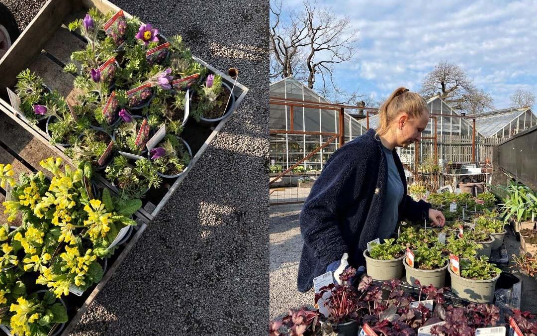 Plantgården är öppen!