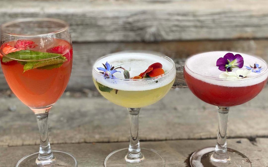 Torsdagshäng med grill & bar