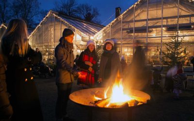 JULKVÄLLAR 12, 13 NOVEMBER