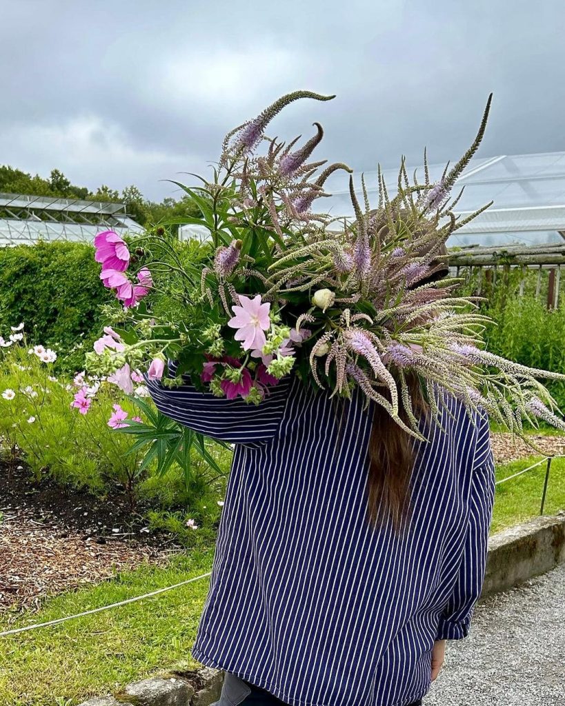 Självplock av snittblommor på Rosendals Trädgård