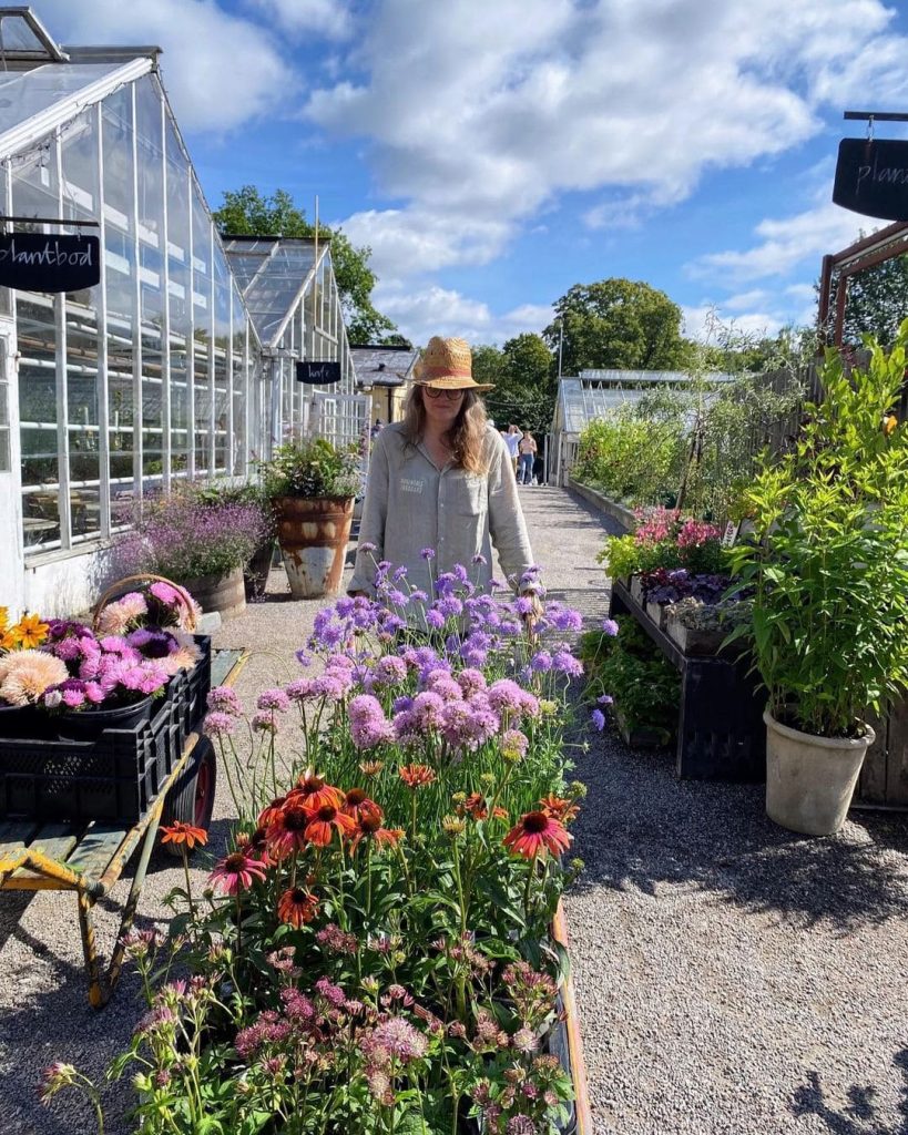 Under säsong har Plantboden ett stort urval av sommarblommor och trädgårdsväxter | Plantboden Rosendals Trädgård