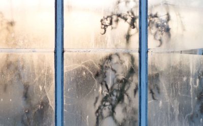 HERBARIUM H20 – EN SMAKRESA UNDER YTAN  | 1 & 2 FEBRUARI