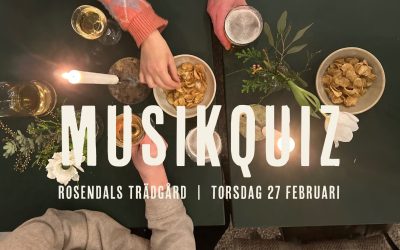 MUSIKQUIZ & BAR  |  27 FEBRUARI