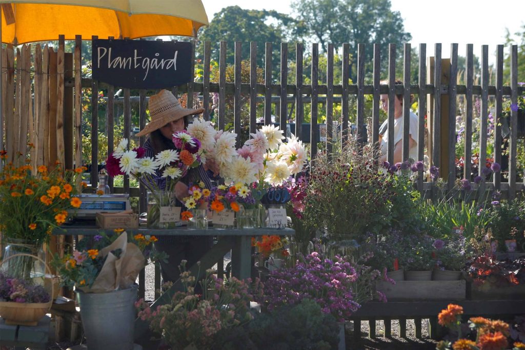 Skördefest på Rosendals Trädgård