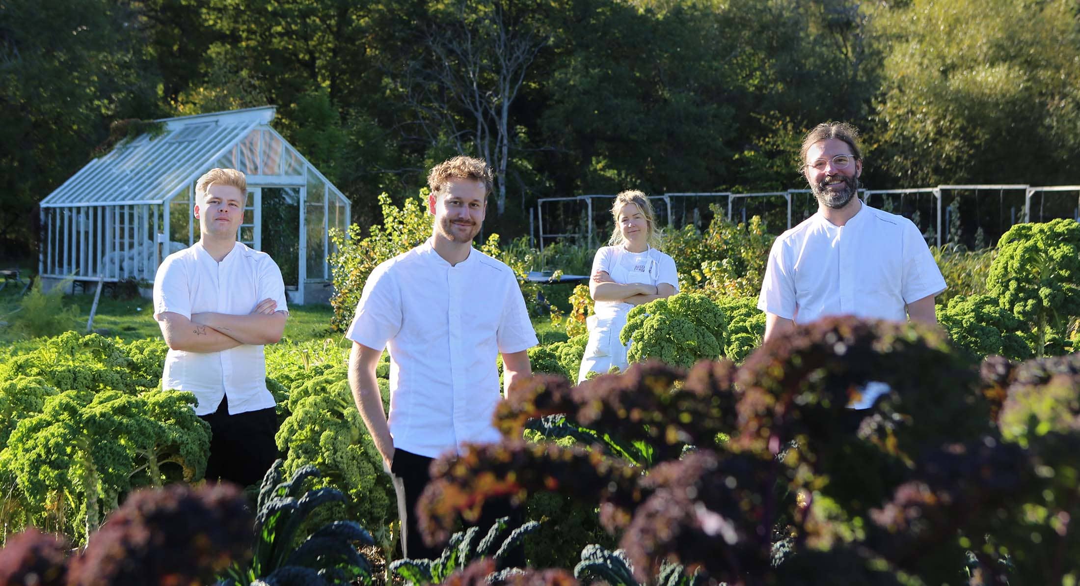 Rosendals kockar i kålen | Rosendals Trädgård Rosendals kockar i kålen | Rosendals Trädgård