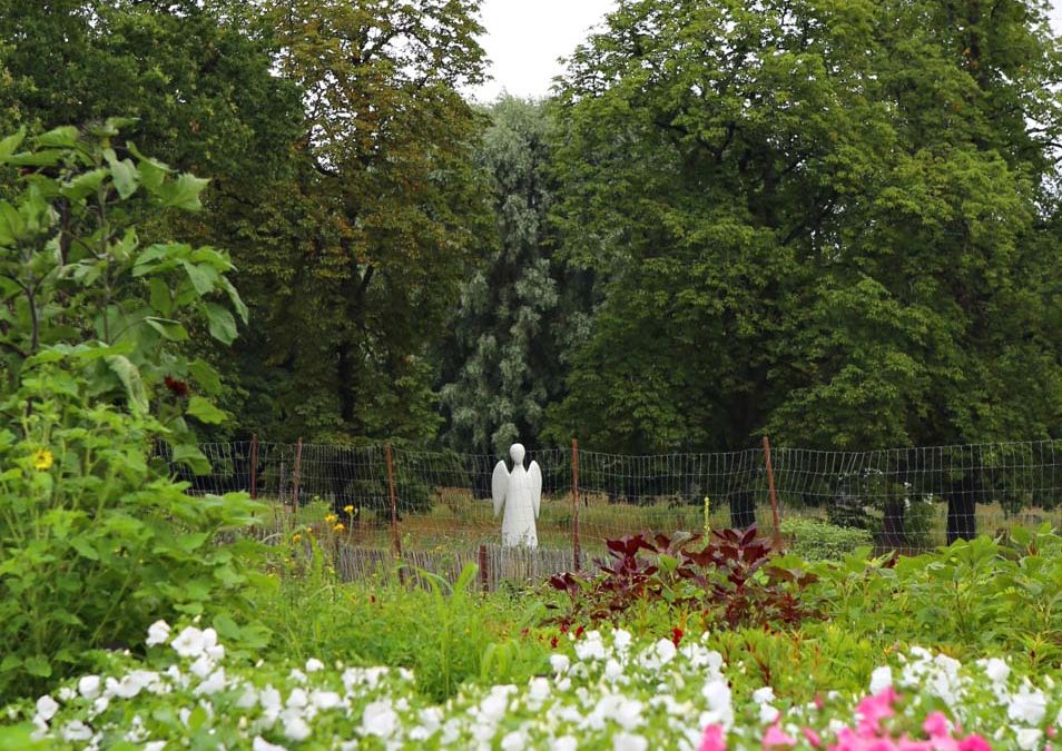 Dags för självplock av blommor!