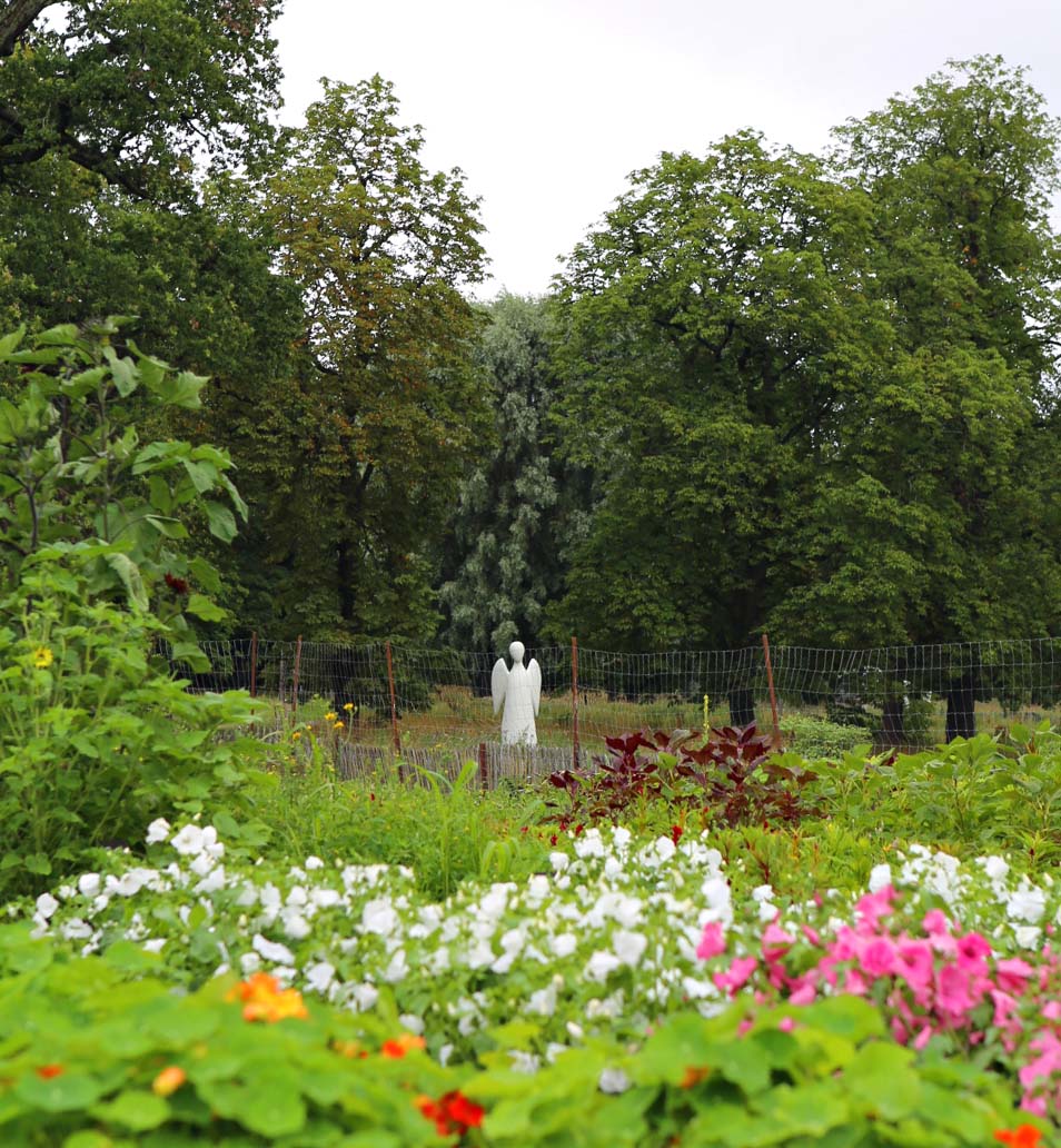 Snittblomsfältet Rosendals Trädgård