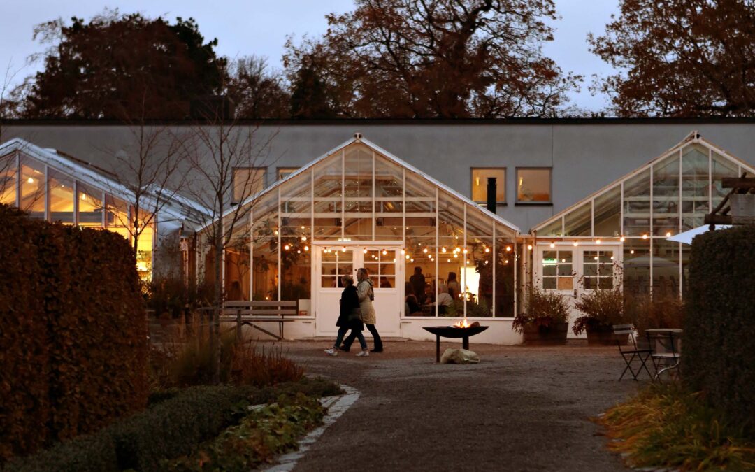 Musikquiz & bar  |  15 januari