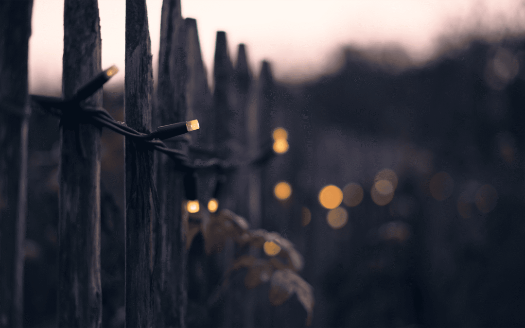 Musikquiz & bar | 29 januari