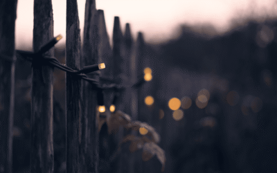 Musikquiz & bar | 29 januari