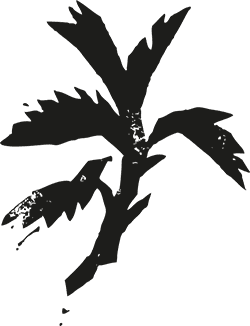 Konferensrum Brännäsla | Rosendals Trädgård