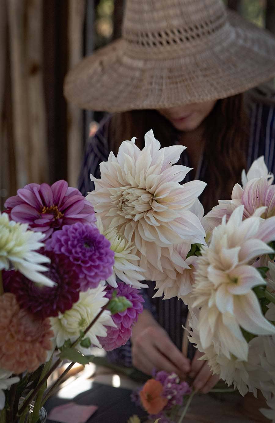 Skapa sensommarprakt med dahlia  |  Rosendals Trädgård
