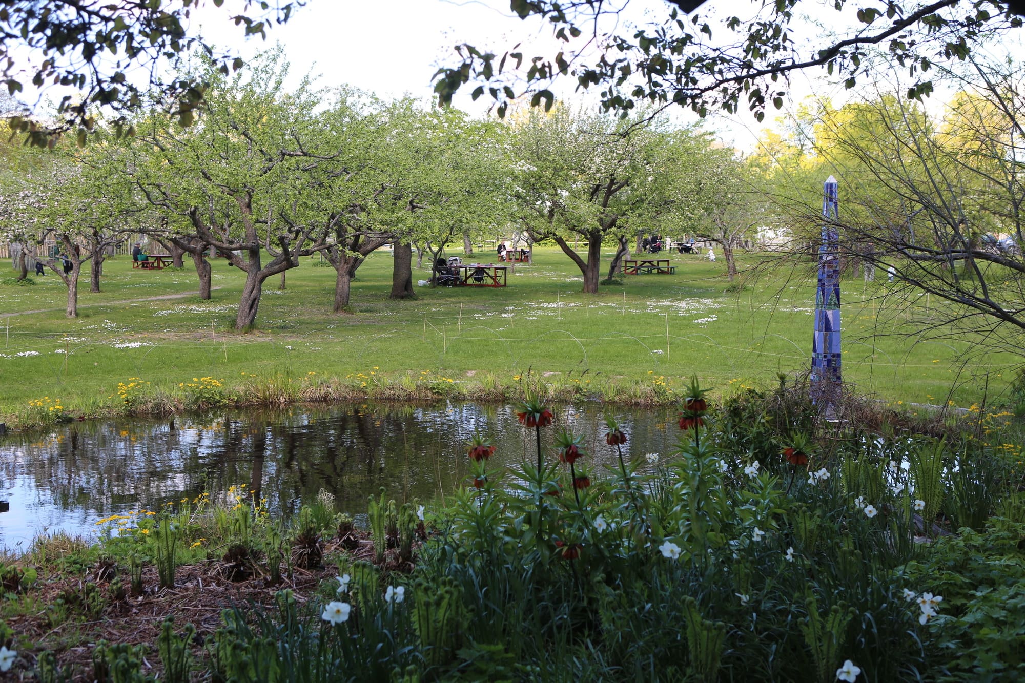 Dammen på Rosendals Trädgård