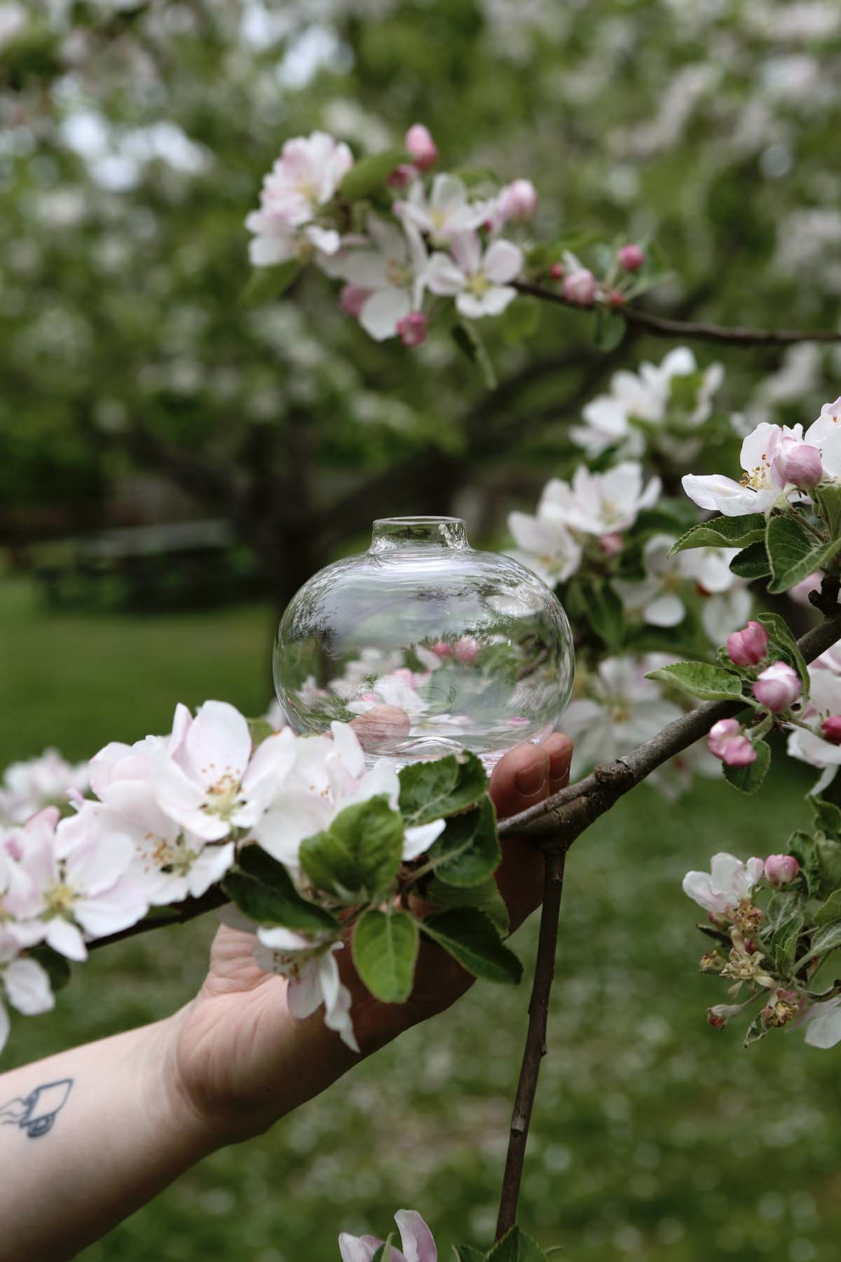 Vas Äpple från kollektionen Fruktträdgården | Rosendals Trädgård