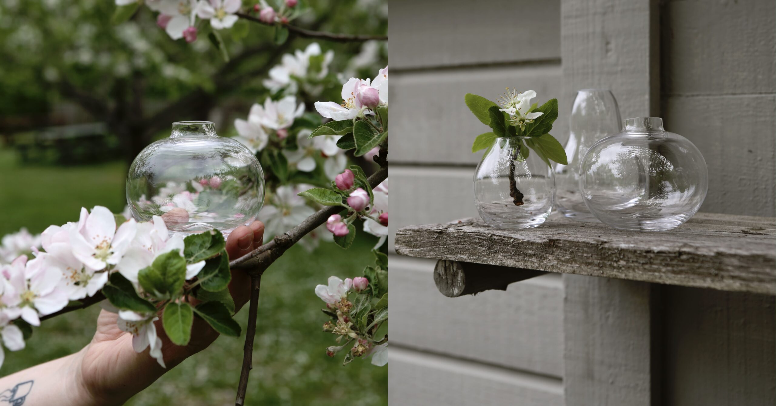 Vaskollektionen Fruktträdgården | Rosendals Trädgård