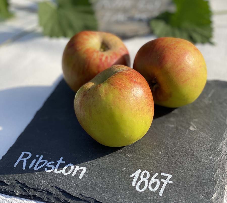 Till bords! Äppelutställning på Rosendals Trädgård