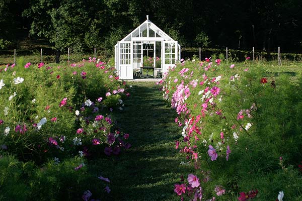 Växthus på Rosendals Trädgård  |  Sweden Greenhouse