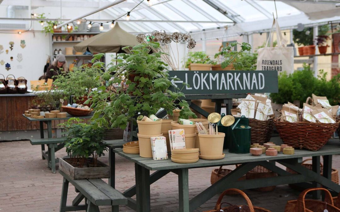 Plantboden tillbaka i växthusen